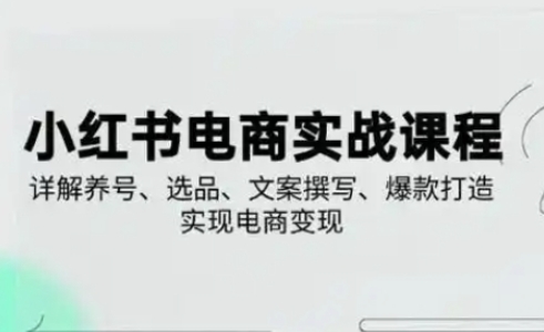 小红书从0-1实操课(2023-2025),详解养号、选品、文案撰写、爆款打造实现电商变现-OPCmate