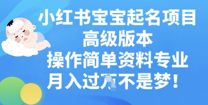 小红书宝宝起名项目高级版本,操作简单,资料专业,月入过W-OPCmate