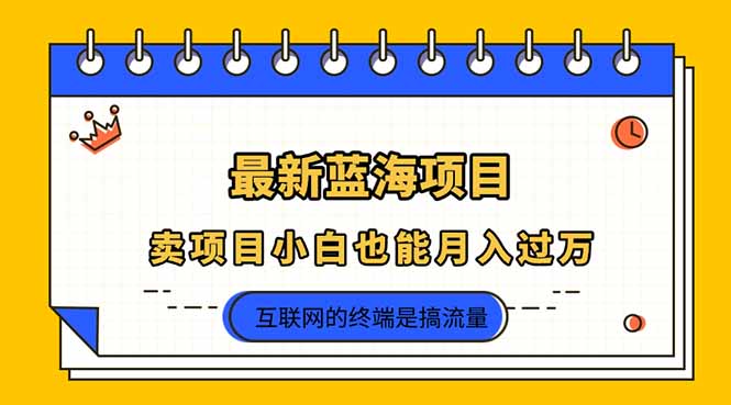 (14289期)2025年最新蓝海项目,卖项目小白也能月入过万-OPCmate