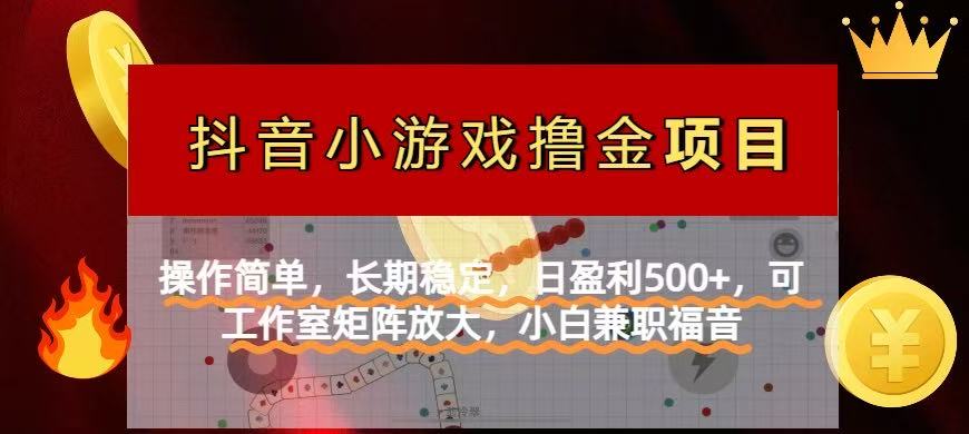 (14290期)【抖音小游戏发行人计划项目】操作简单,长期稳定,日盈利500+,可工作...-OPCmate
