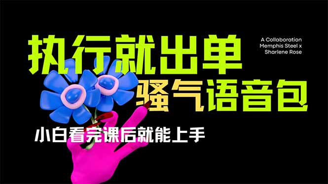 (14170期)爆火全网的开车导航骚气语音包,只要执行就出单,小白看完课程就能实操...-OPCmate